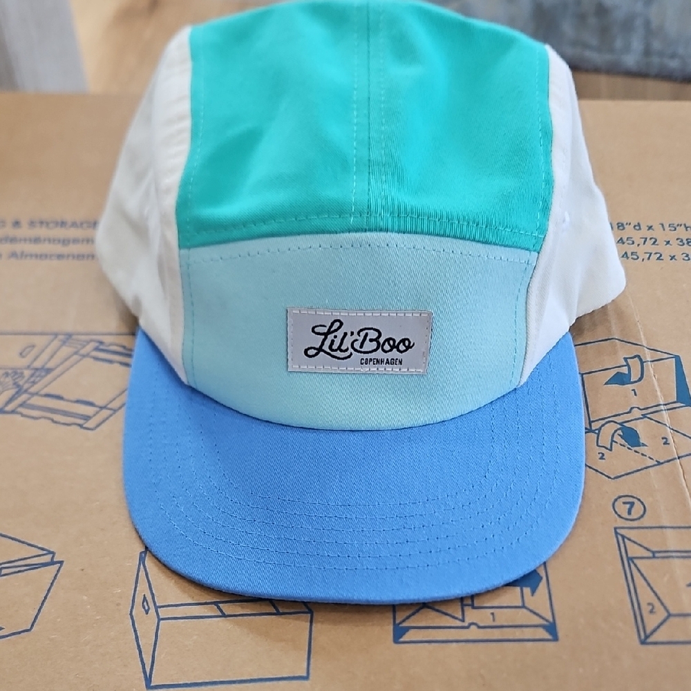 Men's Blue and Green Cap